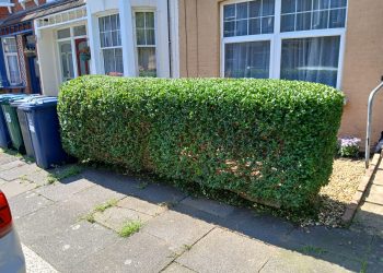 547fbdf8-6196-46d6-bd03-345307ef2d7c