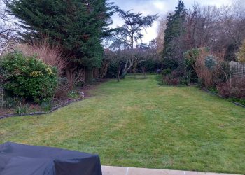 7b6c2ff6-a70d-4042-ad32-dce5a51aee67